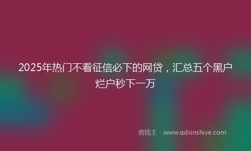2025年热门不看征信必下的网贷，汇总五个黑户烂户秒下一万
