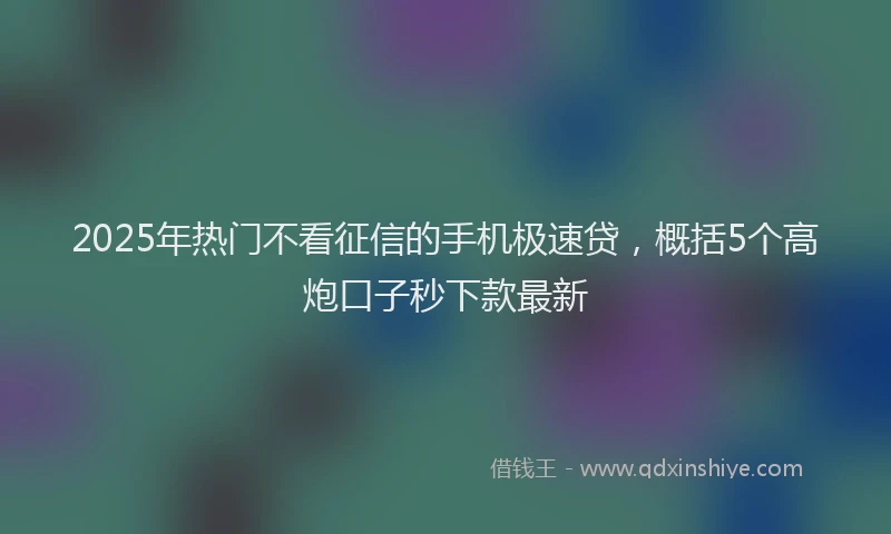 2025年热门不看征信的手机极速贷，概括5个高炮口子秒下款最新