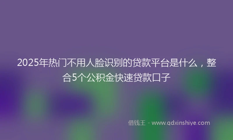 2025年热门不用人脸识别的贷款平台是什么,整合5个公积金快速贷款口子
