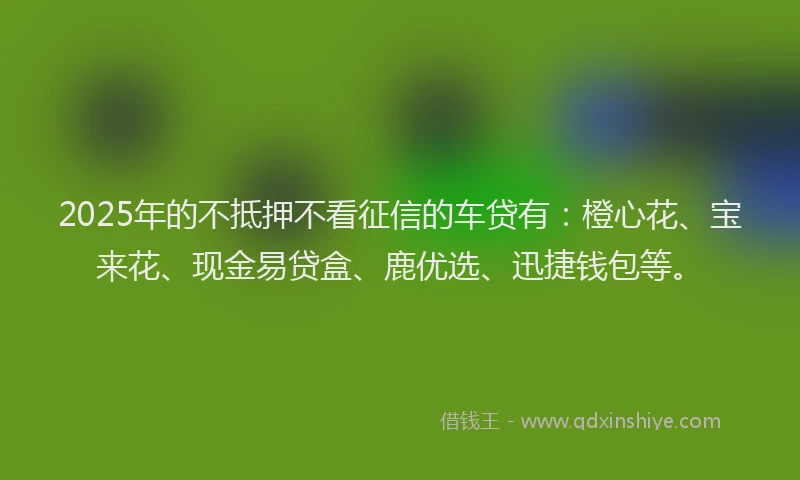 2025年的不抵押不看征信的车贷有：橙心花、宝来花、现金易贷盒、鹿优选、迅捷钱包等。