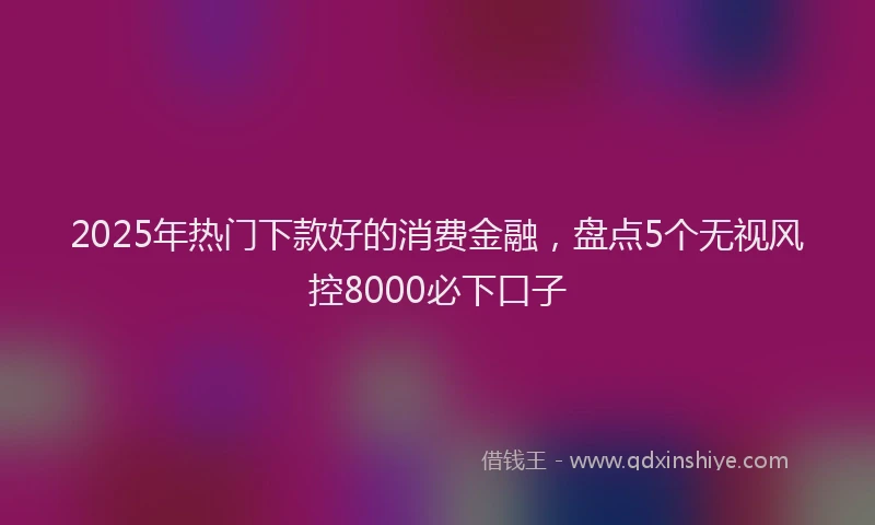 2025年热门下款好的消费金融，盘点5个无视风控8000必下口子
