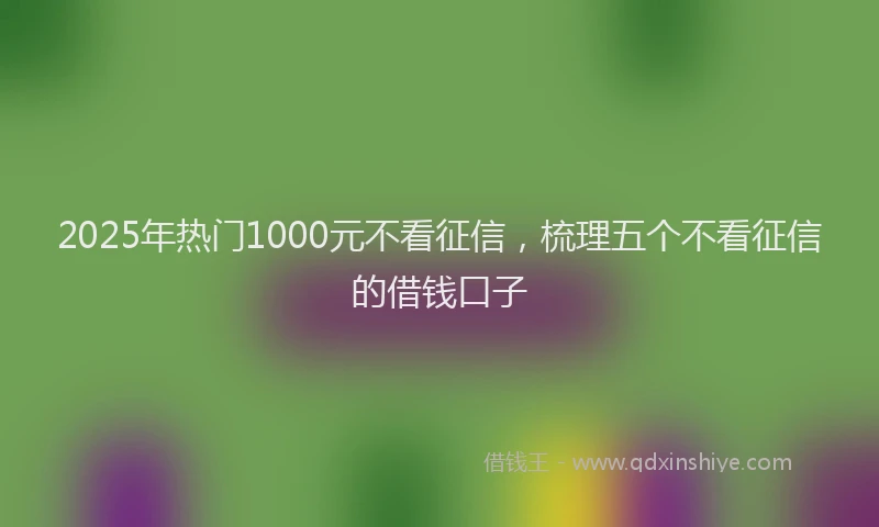 2025年热门1000元不看征信，梳理五个不看征信的借钱口子