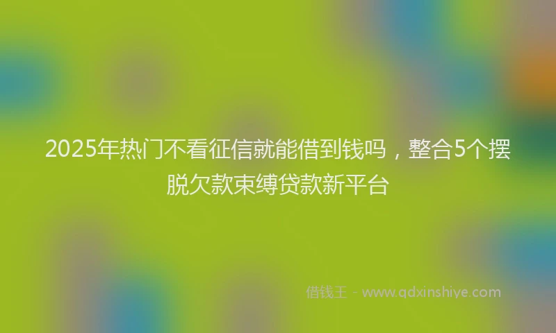 2025年热门不看征信就能借到钱吗，整合5个摆脱欠款束缚贷款新平台
