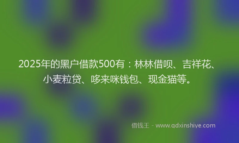 2025年的黑户借款500有：林林借呗、吉祥花、小麦粒贷、哆来咪钱包、现金猫等。
