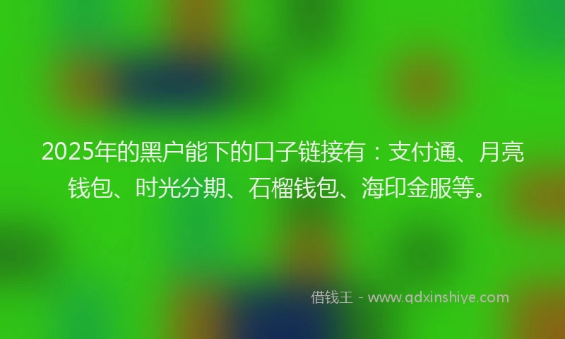 2025年的黑户能下的口子链接有：支付通、月亮钱包、时光分期、石榴钱包、海印金服等。