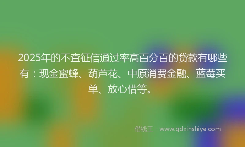 2025年的不查征信通过率高百分百的贷款有哪些有:现金蜜蜂、葫芦花、中原消费金融、蓝莓买单、放心借等。