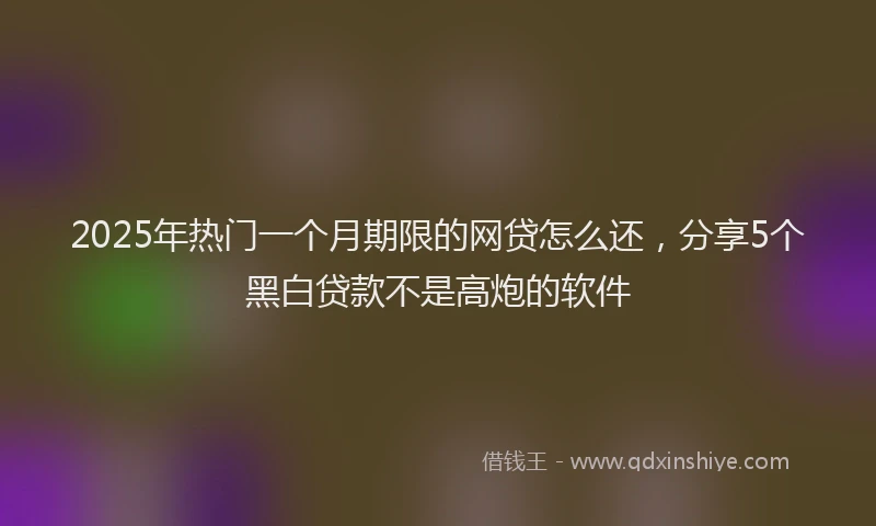 2025年热门一个月期限的网贷怎么还，分享5个黑白贷款不是高炮的软件