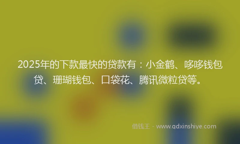 2025年的下款最快的贷款有：小金鹤、哆哆钱包贷、珊瑚钱包、口袋花、腾讯微粒贷等。