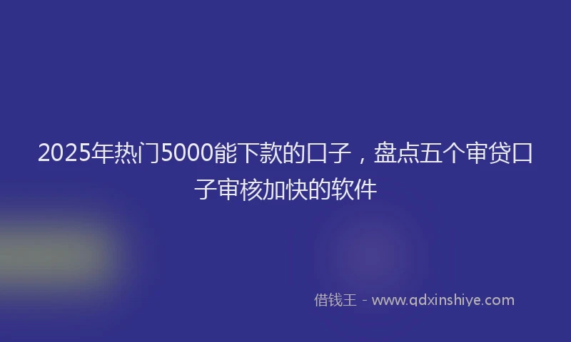 2025年热门5000能下款的口子，盘点五个审贷口子审核加快的软件