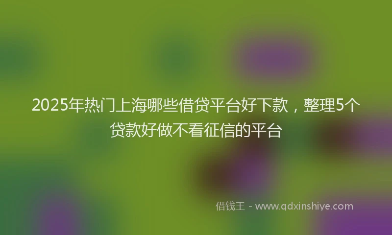 2025年热门上海哪些借贷平台好下款，整理5个贷款好做不看征信的平台