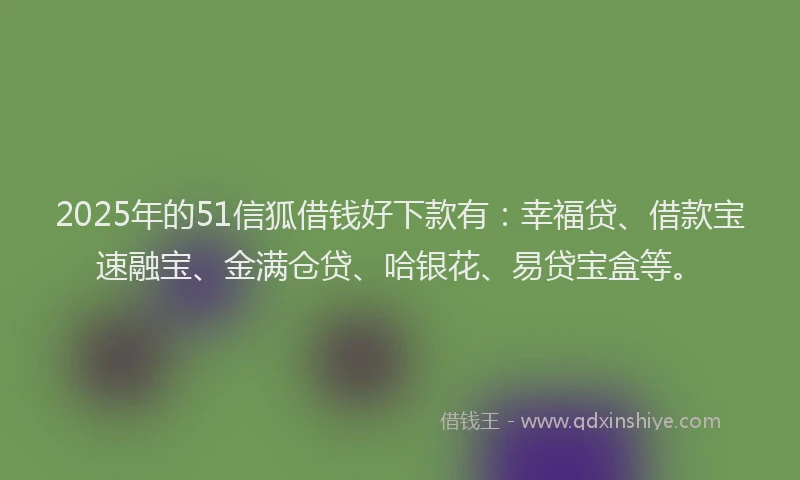 2025年的51信狐借钱好下款有：幸福贷、借款宝速融宝、金满仓贷、哈银花、易贷宝盒等。