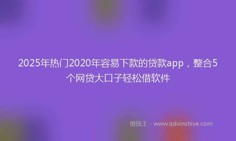 2025年热门2020年容易下款的贷款app，整合5个网贷大口子轻松借软件