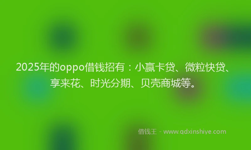 2025年的oppo借钱招有:小赢卡贷、微粒快贷、享来花、时光分期、贝壳商城等。