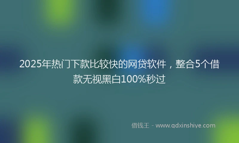 2025年热门下款比较快的网贷软件,整合5个借款无视黑白100%秒过