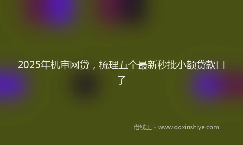 2025年机审网贷，梳理五个最新秒批小额贷款口子