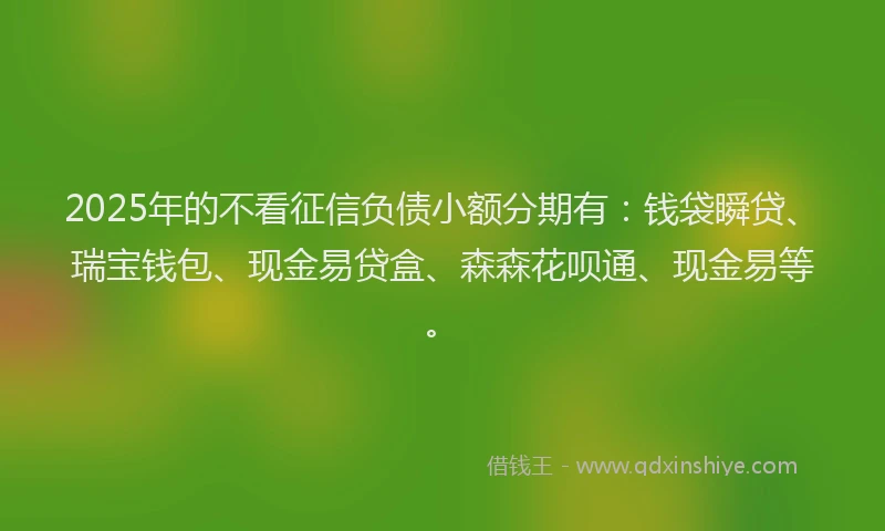 2025年的不看征信负债小额分期有：钱袋瞬贷、瑞宝钱包、现金易贷盒、森森花呗通、现金易等。