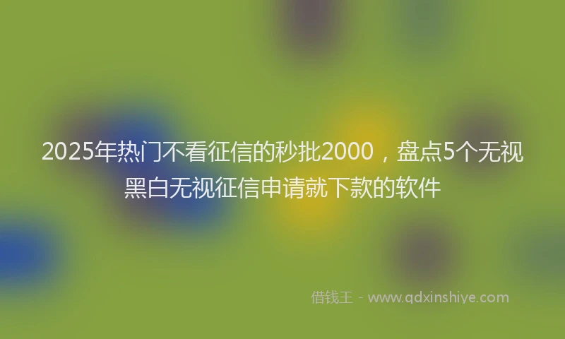 2025年热门不看征信的秒批2000，盘点5个无视黑白无视征信申请就下款的软件