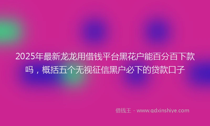 2025年最新龙龙用借钱平台黑花户能百分百下款吗，概括五个无视征信黑户必下的贷款口子