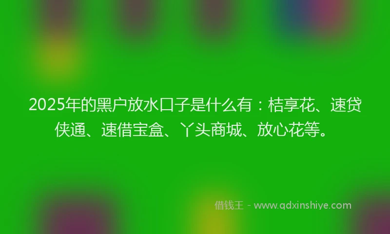 2025年的黑户放水口子是什么有：桔享花、速贷侠通、速借宝盒、丫头商城、放心花等。