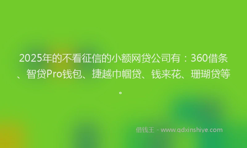 2025年的不看征信的小额网贷公司有：360借条、智贷Pro钱包、捷越巾帼贷、钱来花、珊瑚贷等。