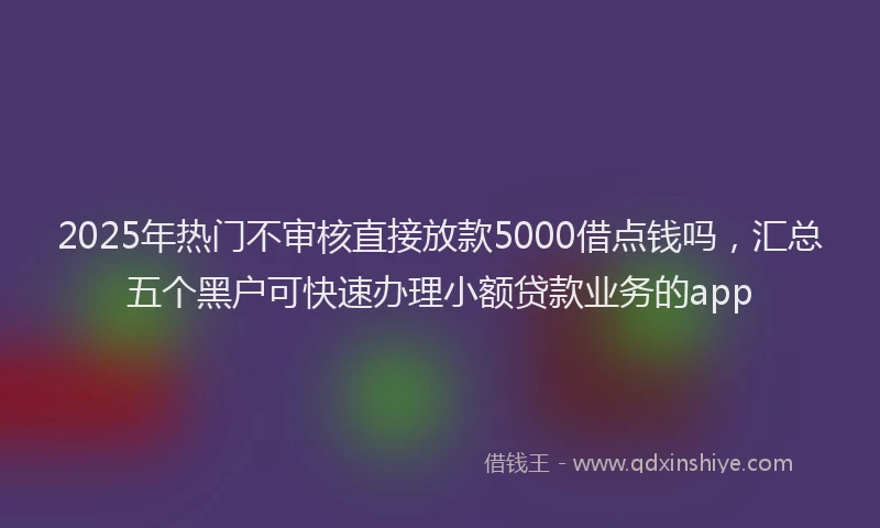 2025年热门不审核直接放款5000借点钱吗，汇总五个黑户可快速办理小额贷款业务的app