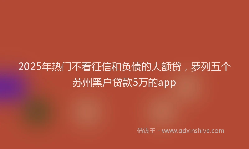 2025年热门不看征信和负债的大额贷，罗列五个苏州黑户贷款5万的app