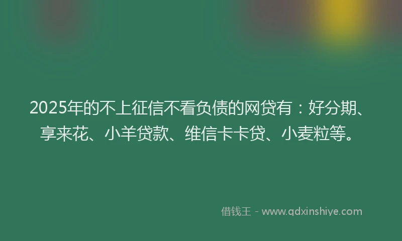 2025年的不上征信不看负债的网贷有：好分期、享来花、小羊贷款、维信卡卡贷、小麦粒等。