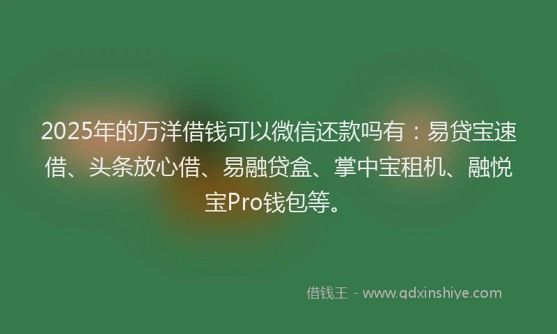 2025年的万洋借钱可以微信还款吗有：易贷宝速借、头条放心借、易融贷盒、掌中宝租机、融悦宝Pro钱包等。