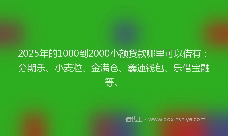 2025年的1000到2000小额贷款哪里可以借有：分期乐、小麦粒、金满仓、鑫速钱包、乐借宝融等。