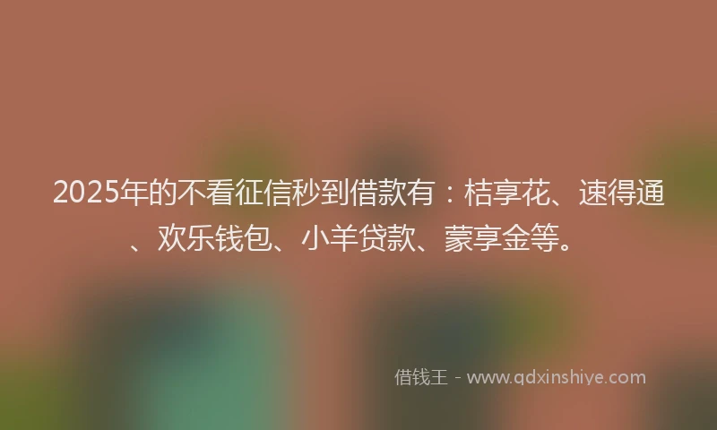 2025年的不看征信秒到借款有：桔享花、速得通、欢乐钱包、小羊贷款、蒙享金等。