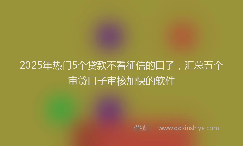 2025年热门5个贷款不看征信的口子，汇总五个审贷口子审核加快的软件