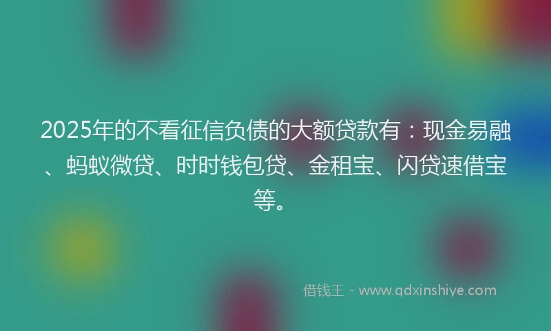 2025年的不看征信负债的大额贷款有：现金易融、蚂蚁微贷、时时钱包贷、金租宝、闪贷速借宝等。