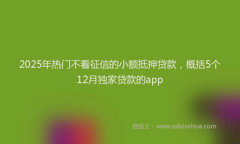 2025年热门不看征信的小额抵押贷款，概括5个12月独家贷款的app