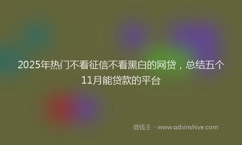 2025年热门不看征信不看黑白的网贷，总结五个11月能贷款的平台