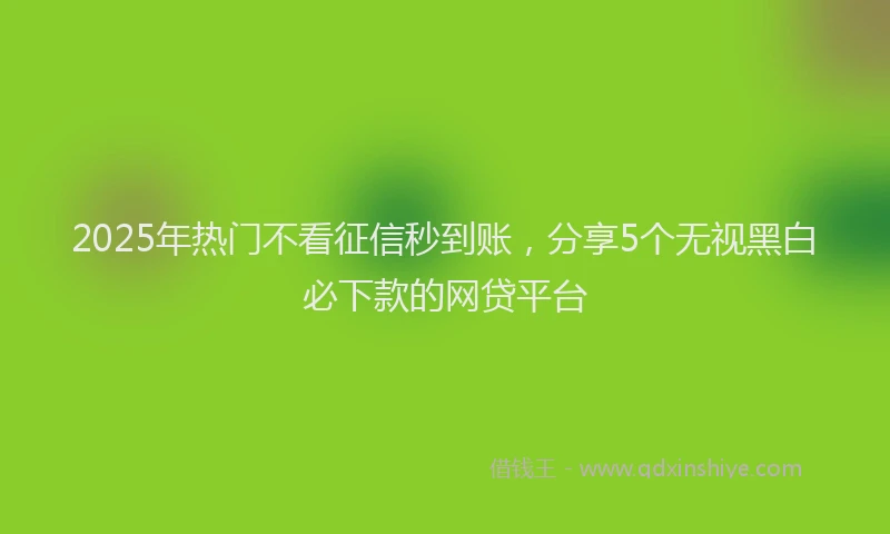 2025年热门不看征信秒到账，分享5个无视黑白必下款的网贷平台