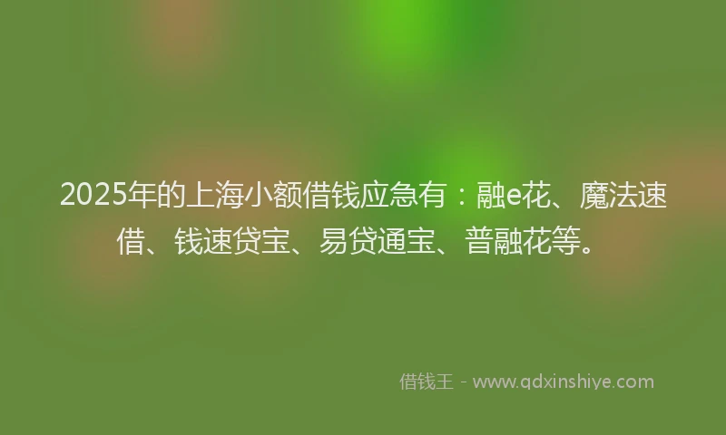2025年的上海小额借钱应急有：融e花、魔法速借、钱速贷宝、易贷通宝、普融花等。