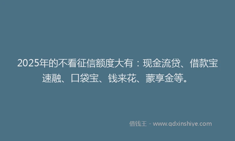 2025年的不看征信额度大有：现金流贷、借款宝速融、口袋宝、钱来花、蒙享金等。