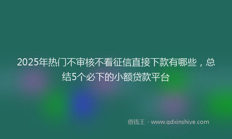 2025年热门不审核不看征信直接下款有哪些，总结5个必下的小额贷款平台