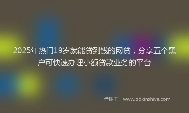 2025年热门19岁就能贷到钱的网贷，分享五个黑户可快速办理小额贷款业务的平台