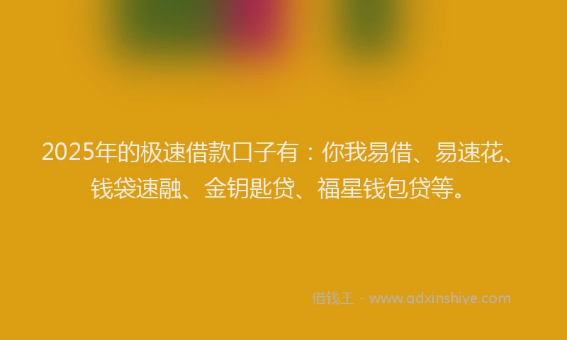 2025年的极速借款口子有：你我易借、易速花、钱袋速融、金钥匙贷、福星钱包贷等。
