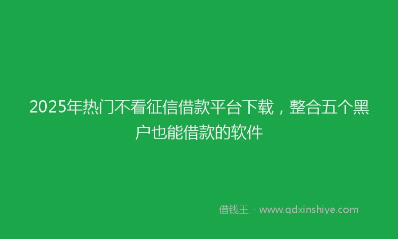 2025年热门不看征信借款平台下载，整合五个黑户也能借款的软件