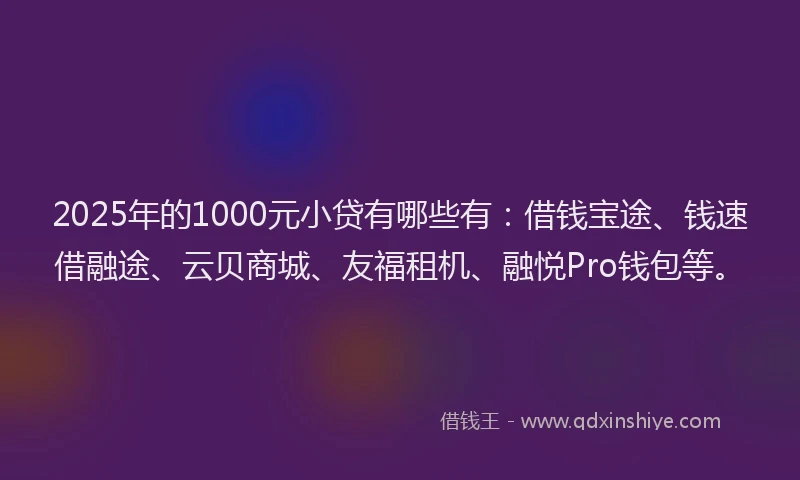 2025年的1000元小贷有哪些有：借钱宝途、钱速借融途、云贝商城、友福租机、融悦Pro钱包等。