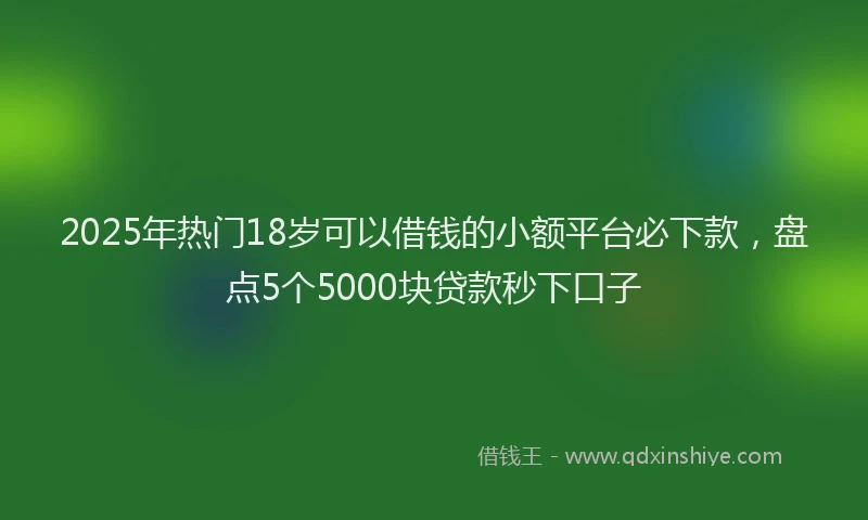 2025年热门18岁可以借钱的小额平台必下款，盘点5个5000块贷款秒下口子