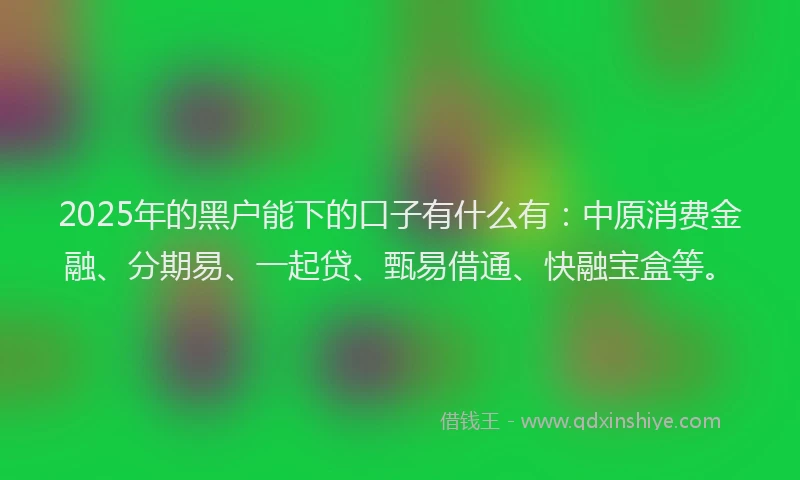 2025年的黑户能下的口子有什么有：中原消费金融、分期易、一起贷、甄易借通、快融宝盒等。