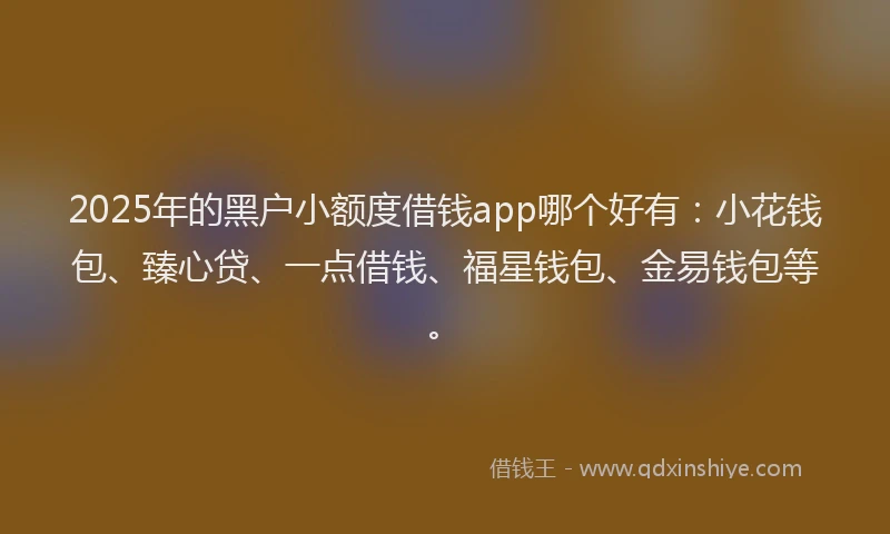 2025年的黑户小额度借钱app哪个好有：小花钱包、臻心贷、一点借钱、福星钱包、金易钱包等。