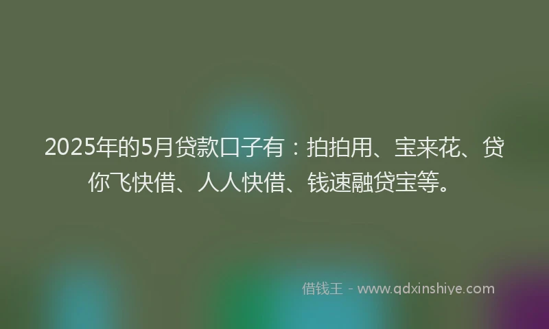 2025年的5月贷款口子有：拍拍用、宝来花、贷你飞快借、人人快借、钱速融贷宝等。
