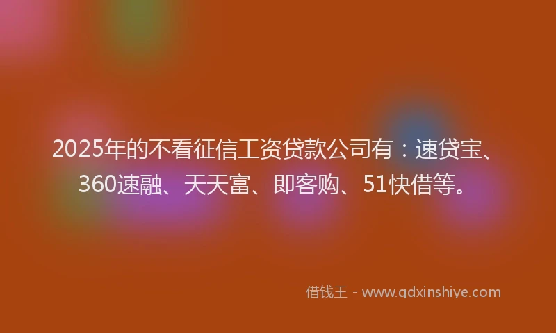2025年的不看征信工资贷款公司有：速贷宝、360速融、天天富、即客购、51快借等。