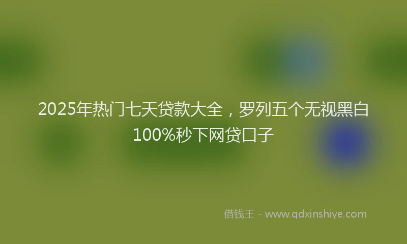 2025年热门七天贷款大全，罗列五个无视黑白100%秒下网贷口子