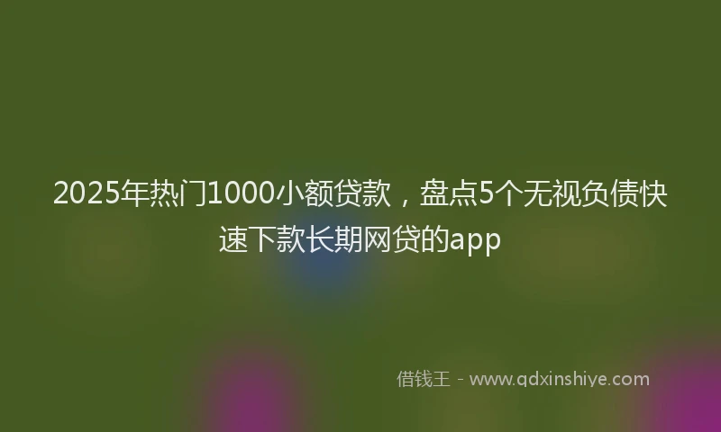 2025年热门1000小额贷款，盘点5个无视负债快速下款长期网贷的app