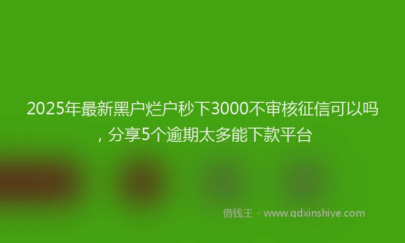 2025年最新黑户烂户秒下3000不审核征信可以吗，分享5个逾期太多能下款平台